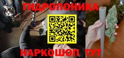 ГАЛЛЮЦИНОГЕННЫЕ ГРИБЫ Берёзовский