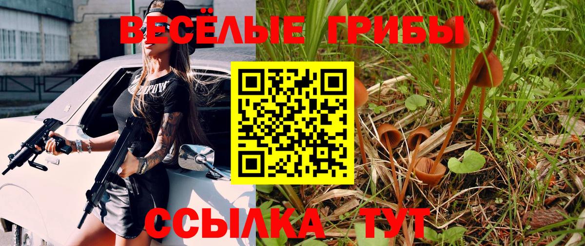 Галлюциногенные грибы мицелий Каменск-Уральский