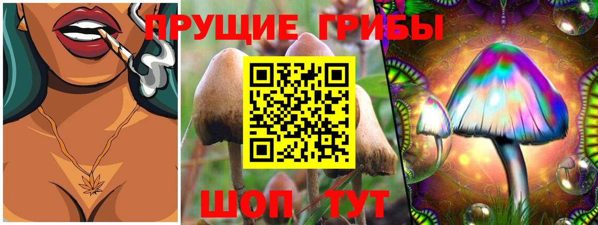 Каменск-Уральский  Псилоцибиновые грибы ЛСД  Вход с VPN 
